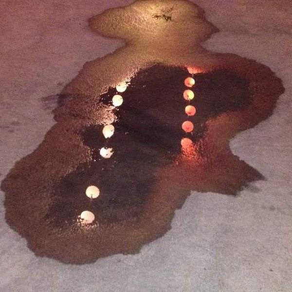 Imagen 29 Comercial Blaspa foto