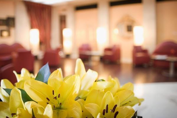 Imagen 7 Comercial Blaspa foto