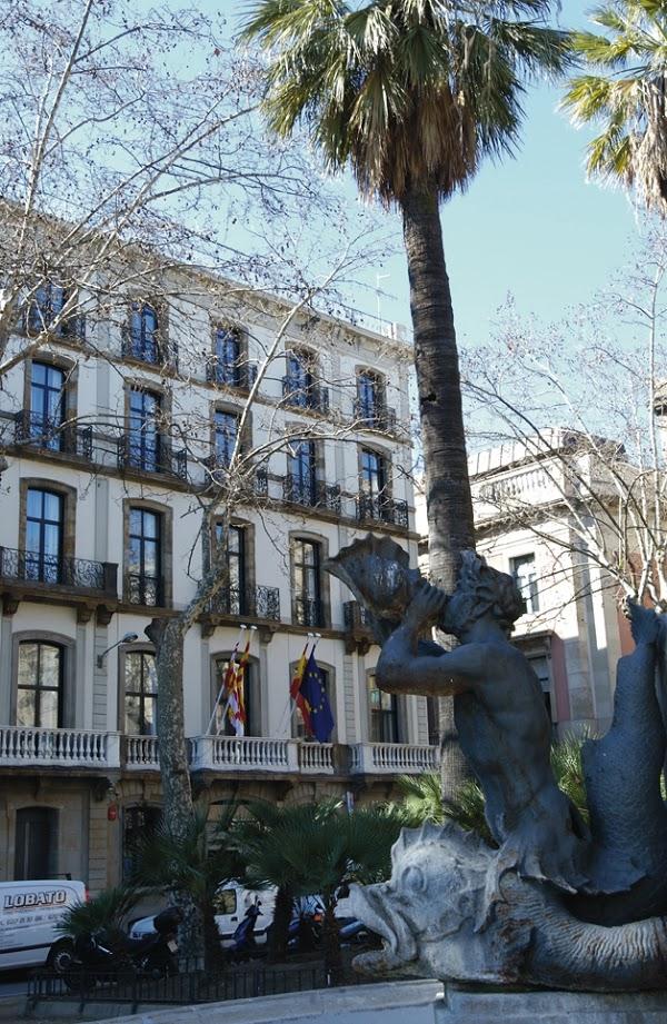 Imagen 8 Comercial Blaspa foto