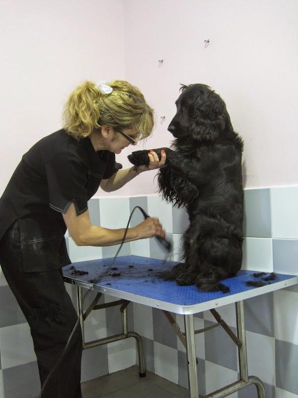 Imagen 13 Christian Louboutin Mount Street London foto