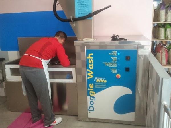 Imagen 20 Christian Louboutin Mount Street London foto