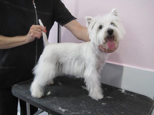 Imagen 3 Christian Louboutin Mount Street London foto