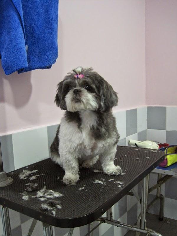 Imagen 21 Christian Louboutin Mount Street London foto