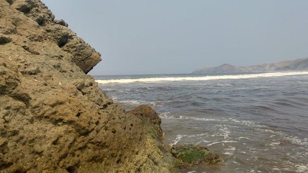 Imagen 24 PAQUETERÍA TRESGUERRAS foto