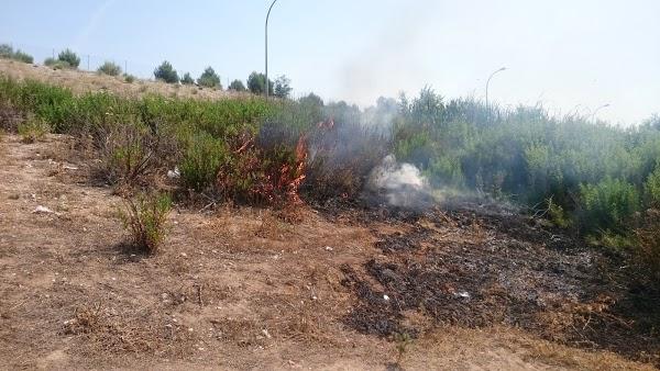 Imagen 51 PAQUETERÍA TRESGUERRAS foto