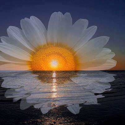 Imagen 60 PAQUETERÍA TRESGUERRAS foto