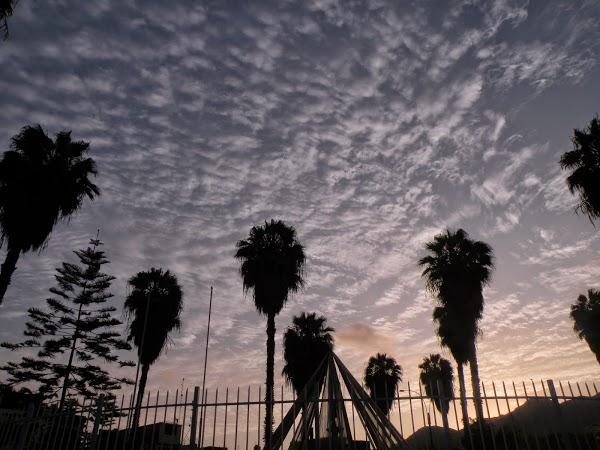 Imagen 15 Zbitt Sabadell foto