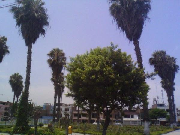 Imagen 3 Zbitt Sabadell foto