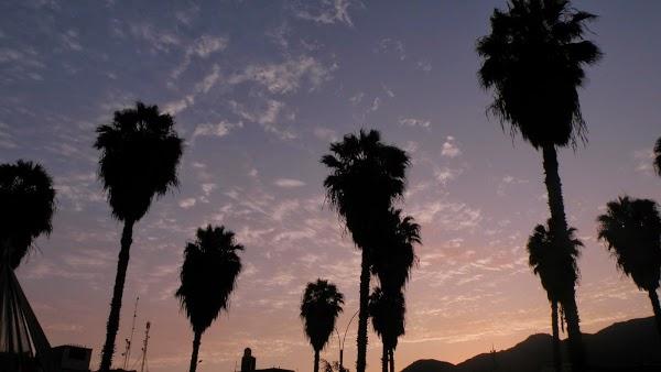 Imagen 8 Zbitt Sabadell foto