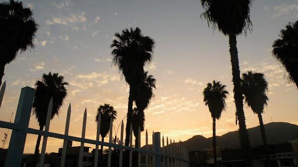 Imagen 9 Zbitt Sabadell foto