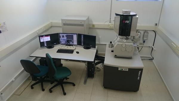 Imagen 12 Dentalia foto