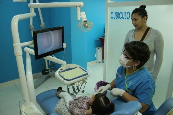 Imagen 132 Gruas EL DRAGO foto