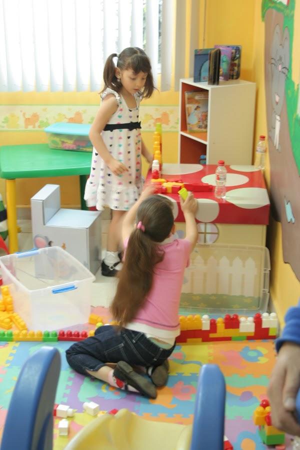 Imagen 71 Gruas EL DRAGO foto