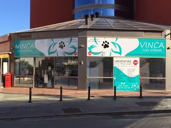 Imagen 2 Barceló Santa Cruz Contemporáneo foto