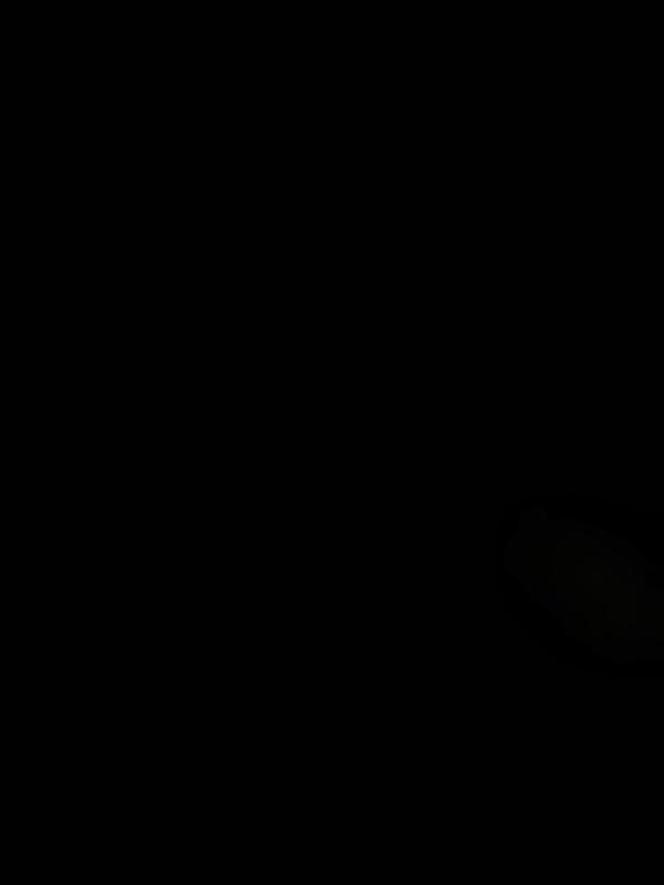 Imagen 8 Vegetariano Pepintxo foto