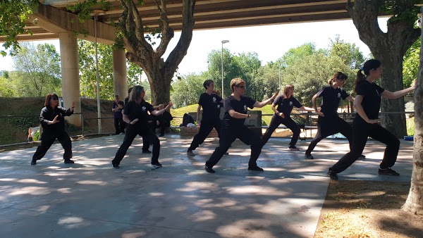 Imagen 77 Espai de Tai Chi foto
