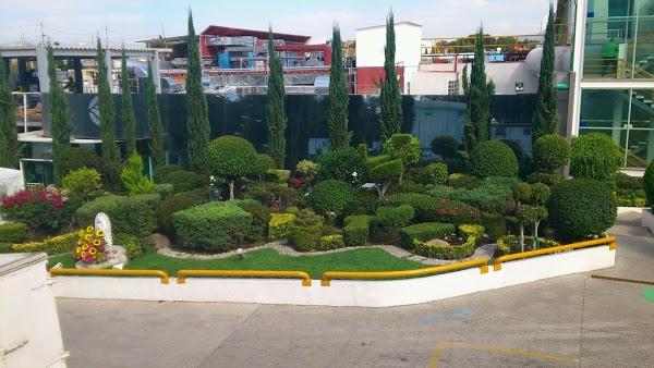 Imagen 1 Oleícola San Francisco S.L. foto