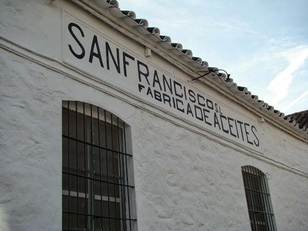 Imagen 2 Oleícola San Francisco S.L. foto