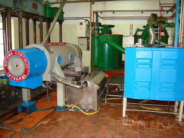 Imagen 3 Oleícola San Francisco S.L. foto