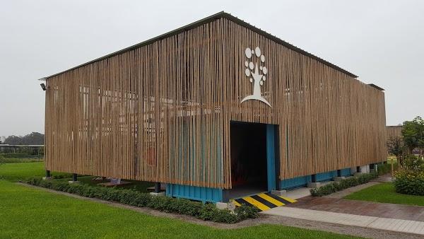 Imagen 21 Colegio Señor de la Soledad foto