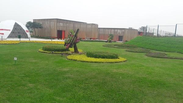 Imagen 25 Colegio Señor de la Soledad foto