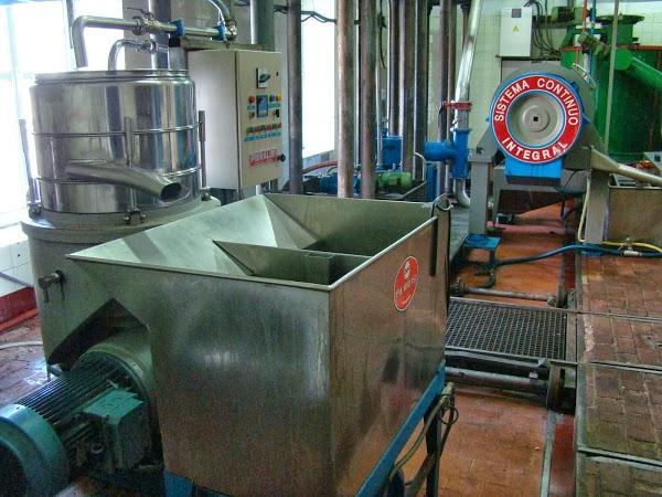 Imagen 5 Oleícola San Francisco S.L. foto