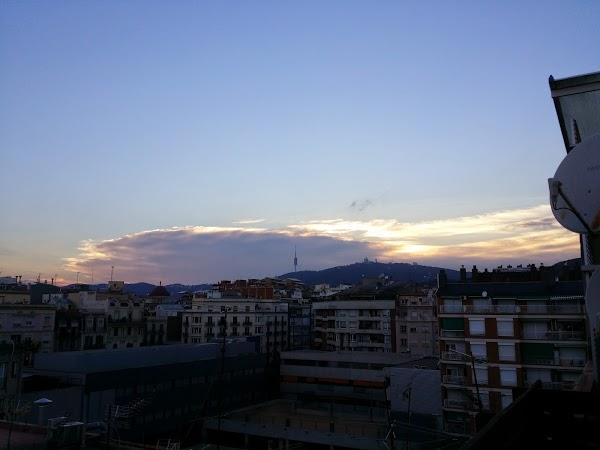 Imagen 10 Oleícola San Francisco S.L. foto