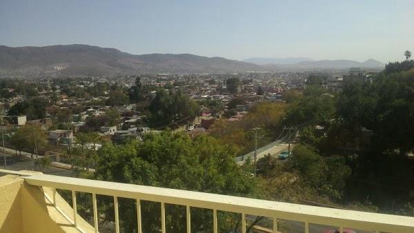 Imagen 3 Hospital Veterinario Sant Mori S.L. foto