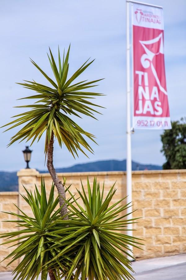 Imagen 42 Salones Jardines de la Tinajas foto