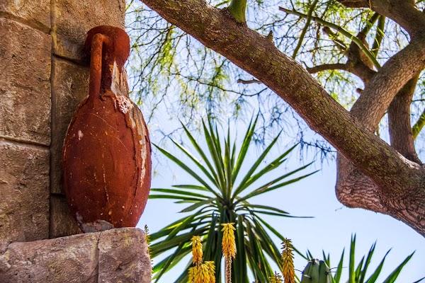 Imagen 44 Salones Jardines de la Tinajas foto