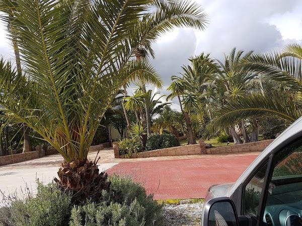 Imagen 46 Salones Jardines de la Tinajas foto