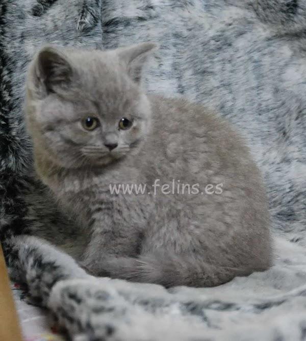 Imagen 1 Hotel Lodomar**** Spa & Talasoterapia foto