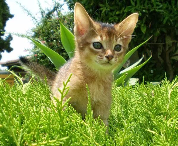 Imagen 10 Hotel Lodomar**** Spa & Talasoterapia foto