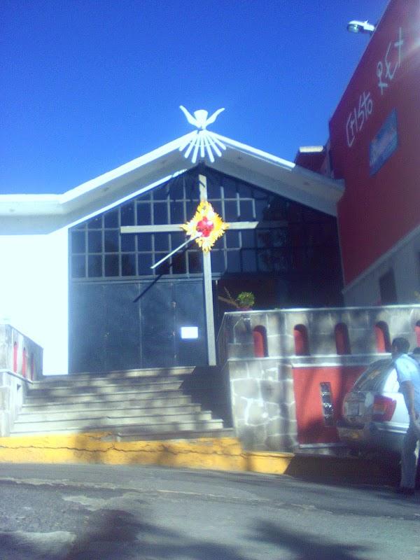 Imagen 82 Hotel Acta Madfor Madrid foto