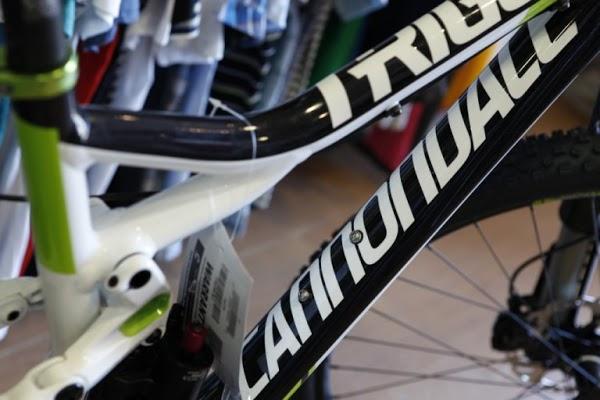 Imagen 19 Hielos El León foto