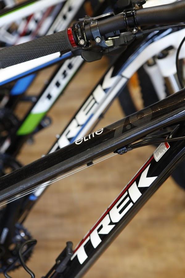 Imagen 10 Hielos El León foto