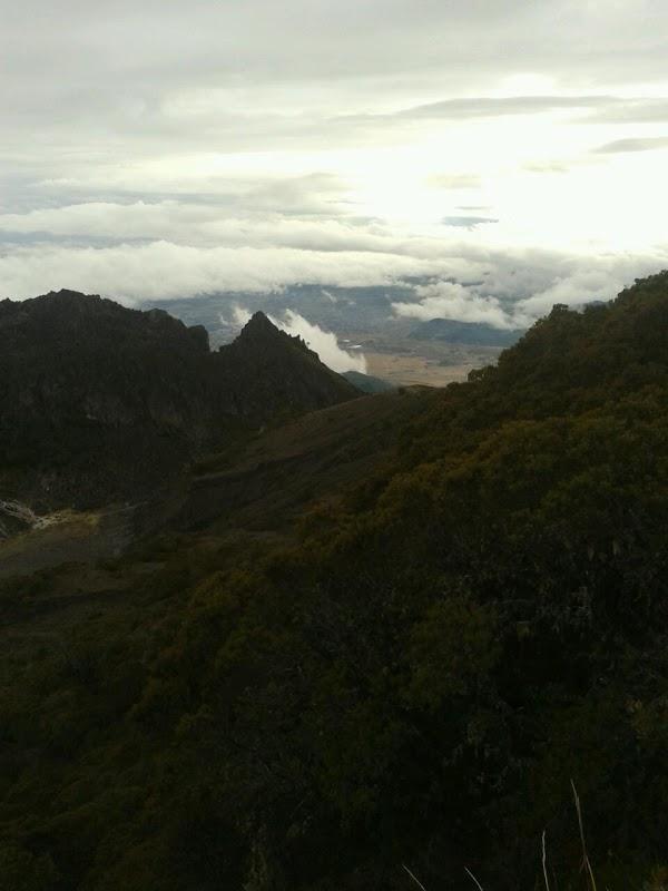 Imagen 2 Meditate Seattle foto