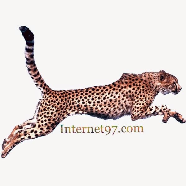 Imagen 3 Cines ABC foto