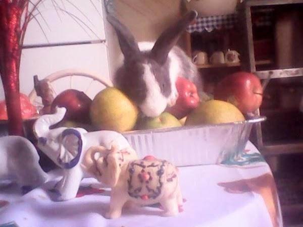 Imagen 7 Popeyes foto