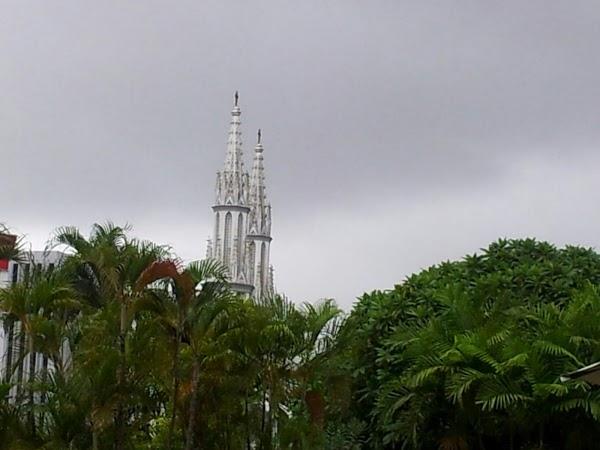 Imagen 8 Popeyes foto