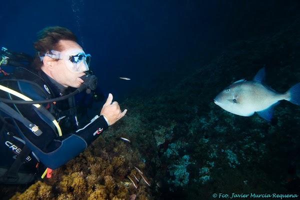 Imagen 12 La Peñuela foto