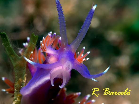 Imagen 6 Construcciones Normalizadas S.A. foto