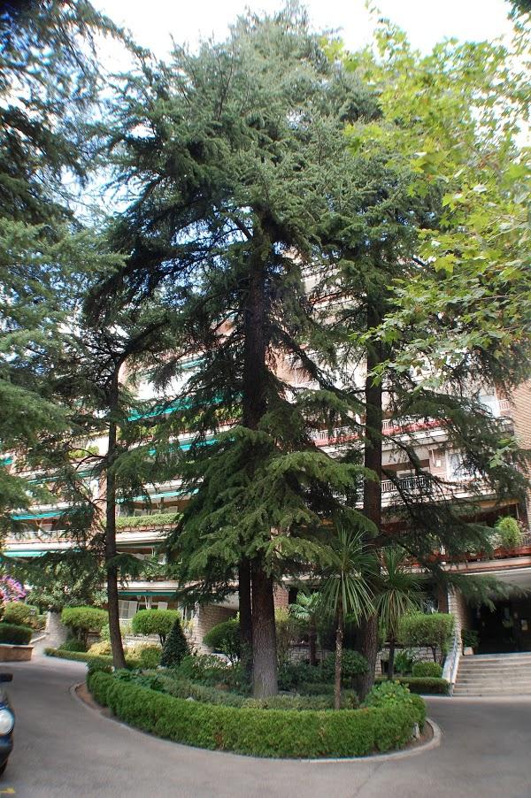 Imagen 12 Discoteca Sethi foto