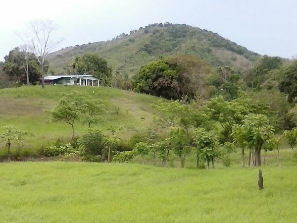 Imagen 135 Campus Universitario Dr. Octavio Méndez Pereira foto