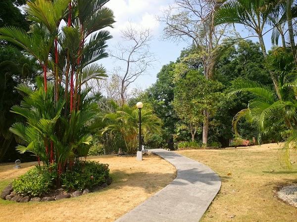 Imagen 141 Campus Universitario Dr. Octavio Méndez Pereira foto