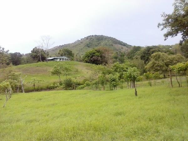 Imagen 177 Campus Universitario Dr. Octavio Méndez Pereira foto