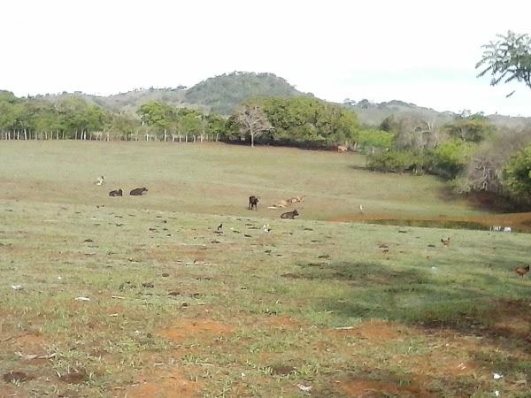 Imagen 182 Campus Universitario Dr. Octavio Méndez Pereira foto