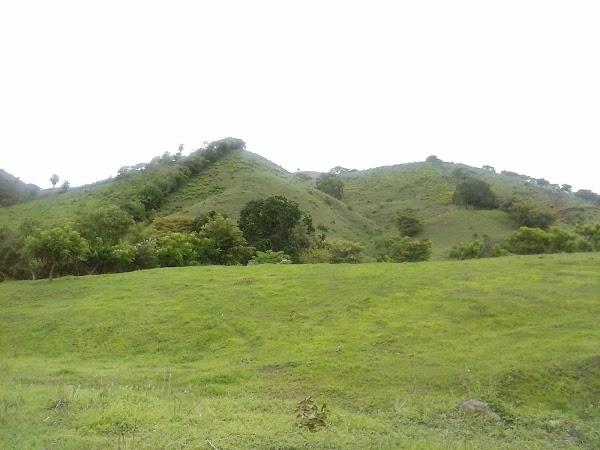 Imagen 207 Campus Universitario Dr. Octavio Méndez Pereira foto