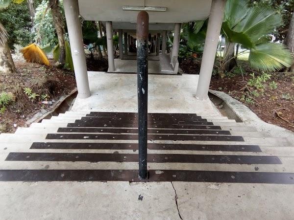 Imagen 210 Campus Universitario Dr. Octavio Méndez Pereira foto