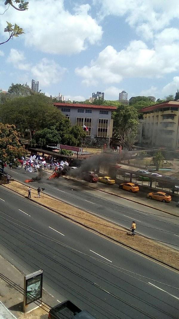 Imagen 229 Campus Universitario Dr. Octavio Méndez Pereira foto